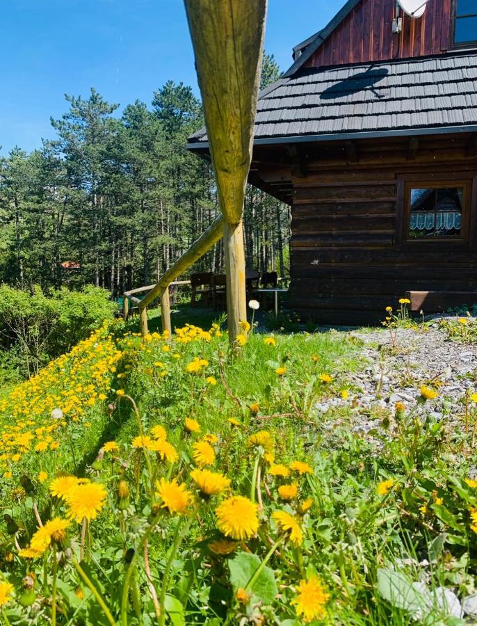 Вилла Drevenica Uhorcik Терхова Экстерьер фото